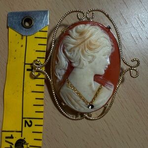 Elegant Cameo Brooch with Gold Accents